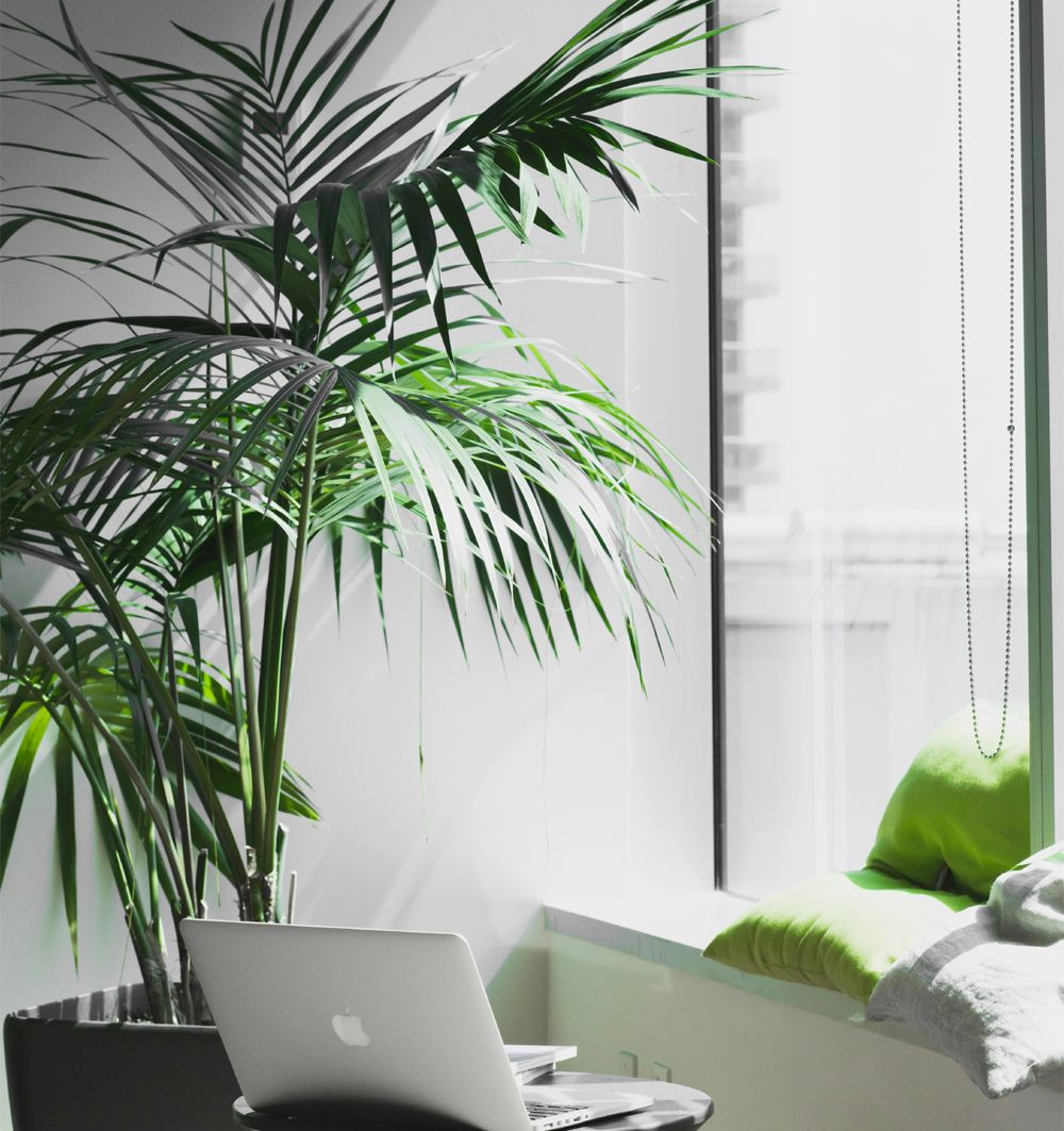 わたしたちについて